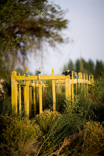 Unrevealed, Site 4 (Yellow Marker), 2009